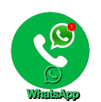 WhatsApp Support